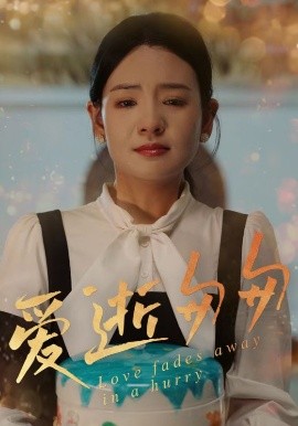 资源《爱逝匆匆》的海报