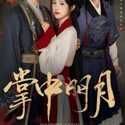 资源《掌中明月》的海报