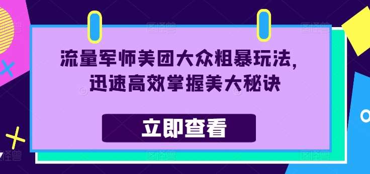 资源《流量军师美团大众粗暴玩法，迅速高效掌握美大秘诀》的海报