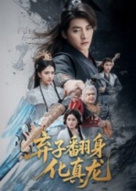 资源《弃子翻身化真龙》的海报