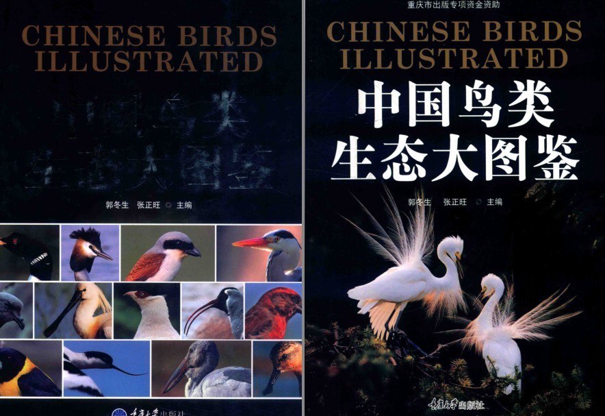 资源《《中国鸟类生态大图鉴》每种鸟类的原色生态[pdf]》的海报
