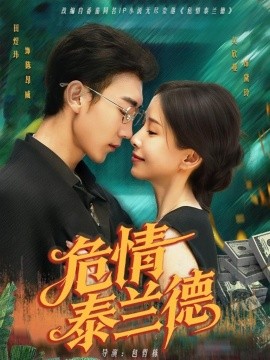 资源《危情泰兰德》的海报