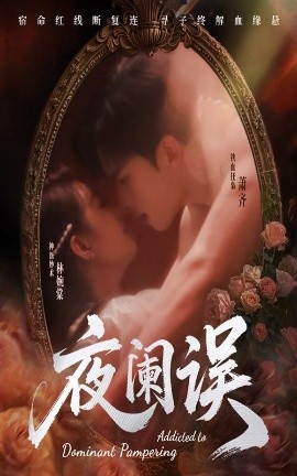 资源《夜阑误》的海报