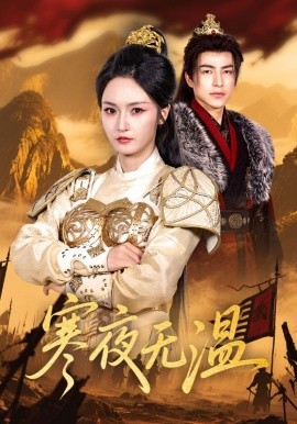 资源《寒夜无温》的海报