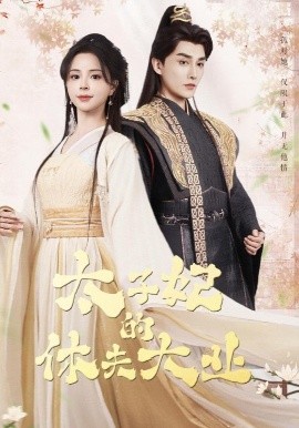 资源《太子妃的休夫大业》的海报
