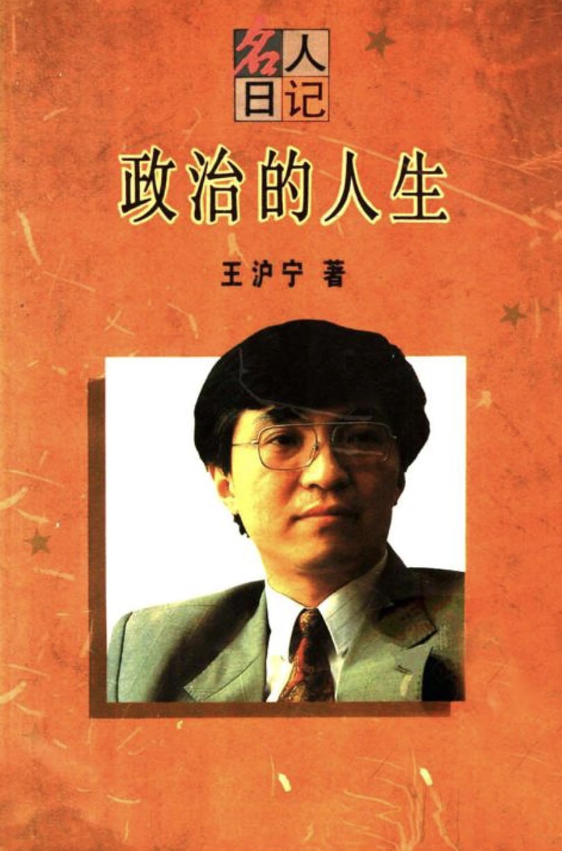 资源《政治的人生》的海报