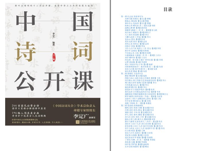 资源《《中国诗词公开课》全2册 精选266首国民必读古诗词[epub]》的海报