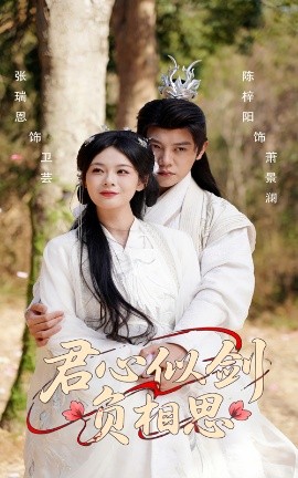 资源《君心似剑负相思》的海报