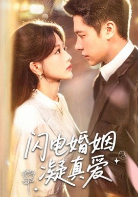 资源《闪电婚姻凝真爱》的海报