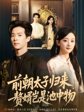 资源《前朝太子归来，赘婿岂是池中物》的海报