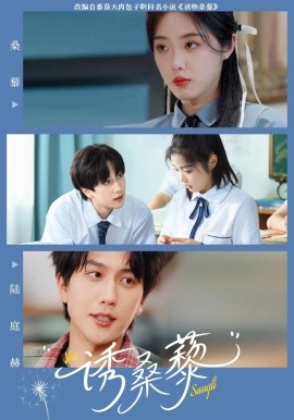 资源《诱桑藜》的海报