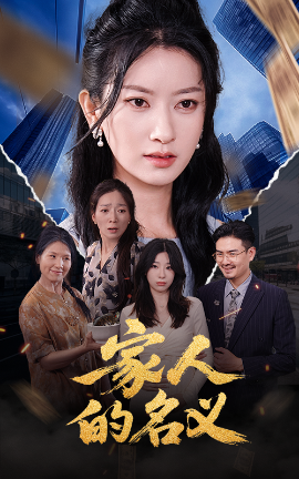 资源《家人的名义》的海报