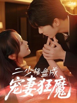 资源《二少接盘成宠妻狂魔》的海报