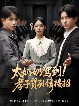 资源《太奶奶驾到！孝子贤孙请接招》的海报