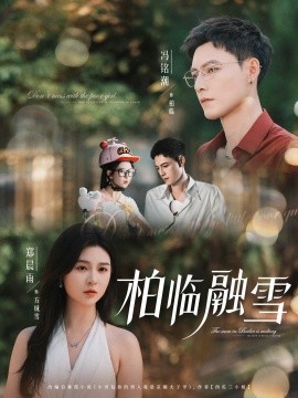 资源《柏临融雪》的海报