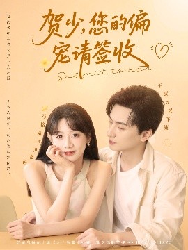 资源《贺少，您的偏宠请签收》的海报