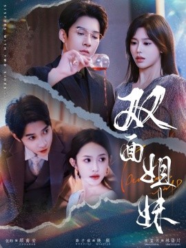 资源《双面姐妹》的海报