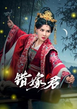 资源《错嫁君》的海报