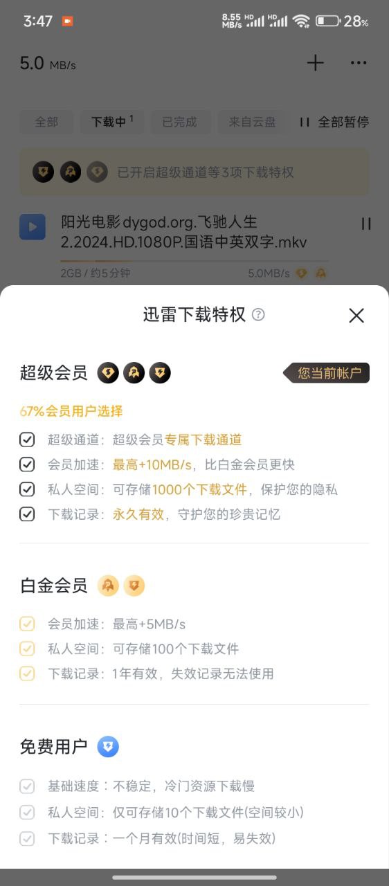 资源《纯净版不限速迅雷》的海报