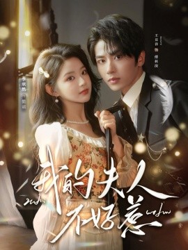 我的夫人不好惹＆你好，我的旅长夫人