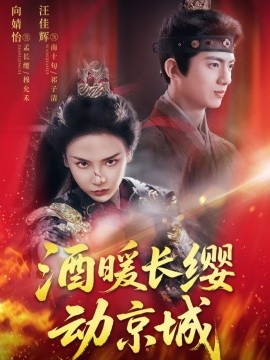 资源《酒暖长缨动京城》的海报