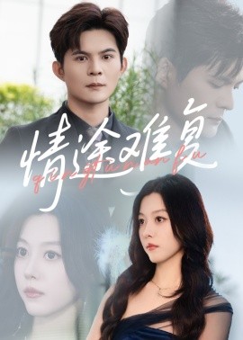 资源《情途难复》的海报