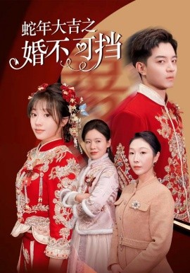 资源《蛇年大吉之婚不可挡》的海报