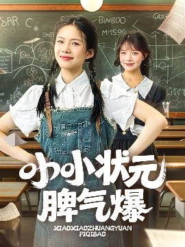 资源《小小状元脾气爆》的海报