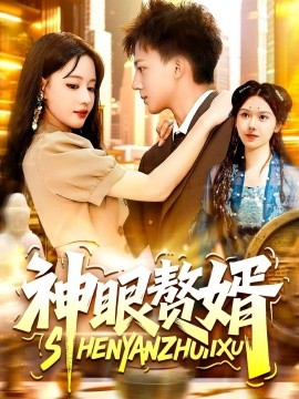 资源《神眼赘婿》的海报
