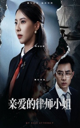 资源《亲爱的律师小姐》的海报