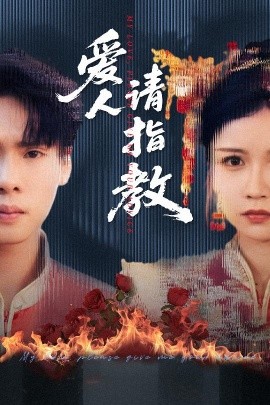 资源《爱人请指教》的海报