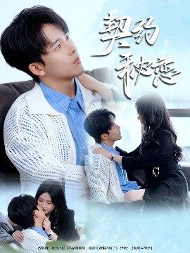 资源《契约秘恋》的海报
