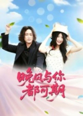 资源《晚风与你都可期》的海报