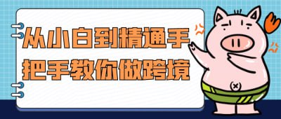 资源《从小白到精通手把手教你做跨境》的海报