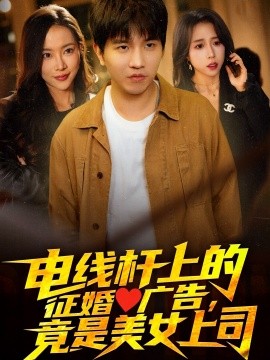 资源《电线杆上的征婚广告，竟是美女上司》的海报