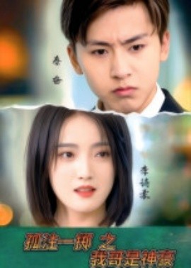 资源《孤注一掷之我哥是神豪》的海报