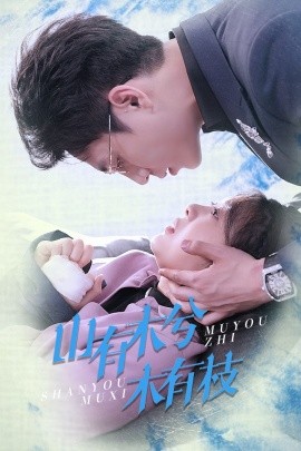 资源《山有木兮木有枝》的海报