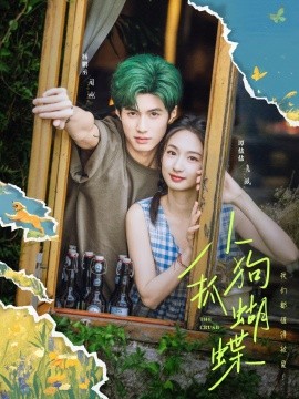 资源《小狗抓蝴蝶》的海报