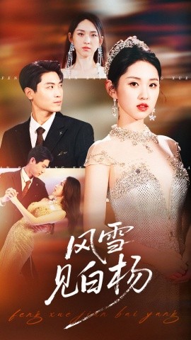 资源《风雪见白杨》的海报