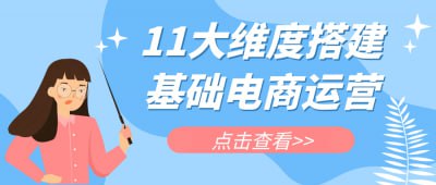 资源《11大维度搭建基础电商运营》的海报
