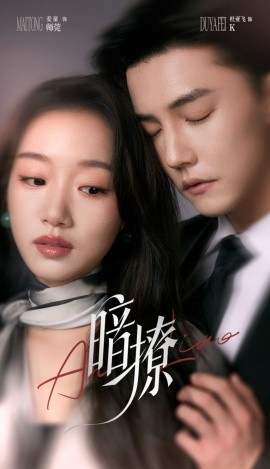 资源《暗撩》的海报