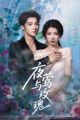 资源《夜莺与玫瑰》的海报