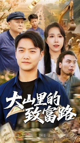 资源《大山里的致富路》的海报