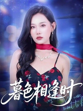 资源《暮色相逢时》的海报