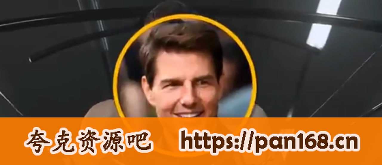 资源《Swapface 1.6.1 新版一键AI视频图片换脸神器win/mac》的海报