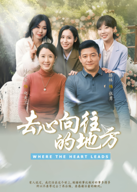 资源《去心向往的地方》的海报
