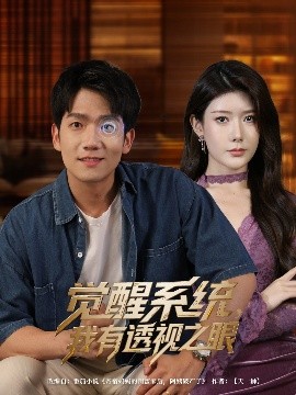资源《觉醒系统，我有透视之眼》的海报