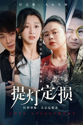 资源《提灯定损》的海报