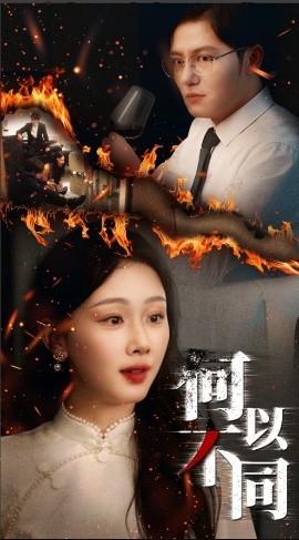资源《何以不同》的海报