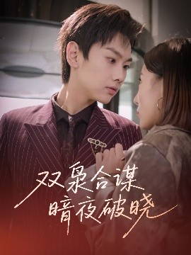 资源《双枭合谋暗夜破晓》的海报